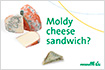 Moldy chees sandwich?