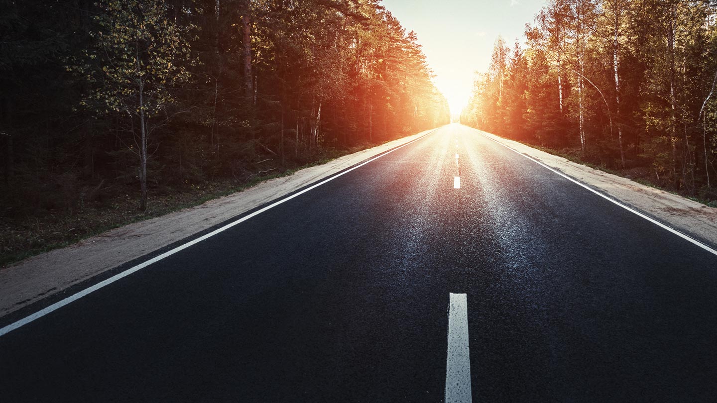 Career Paths to Success