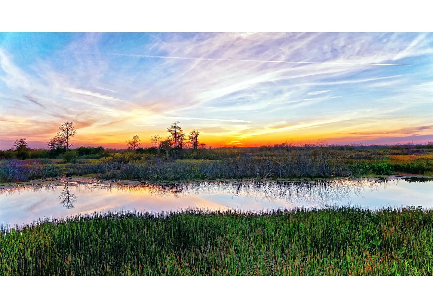 Louisiana landscape