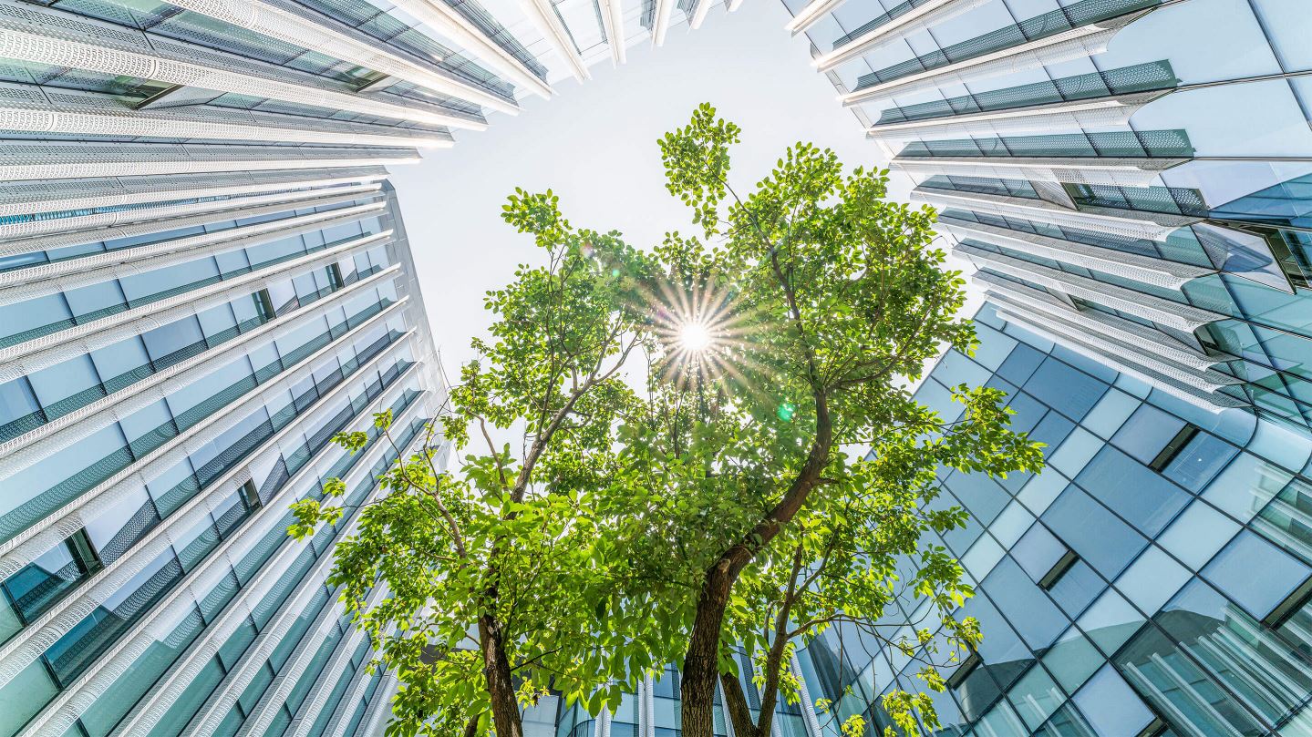 glass building trees