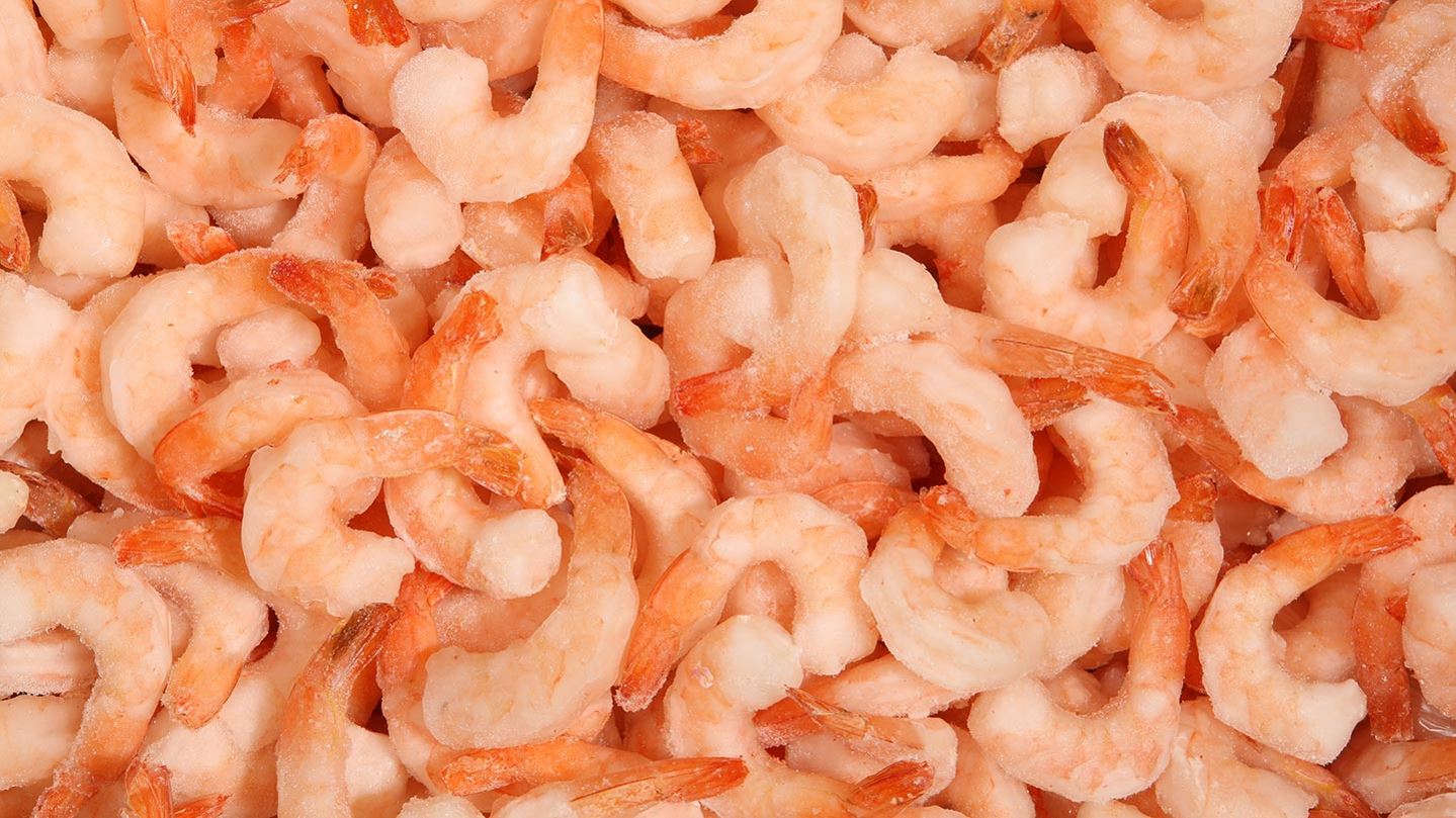 Frozen Shrimp