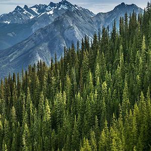 Sulphur Mountain in Banff, Alberta, Canada