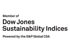 Dow Jones Sustainability Index logo 2021