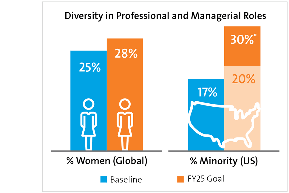Diversity in Professional and Managerial Roles graphic